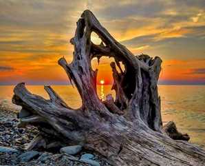 Lake-Erie-Bluffs-sunset-framed-by-driftwood-298x241-Mike-Kozar